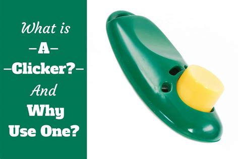 What Is A Clicker And Why Use One An Introduction To Event Markers