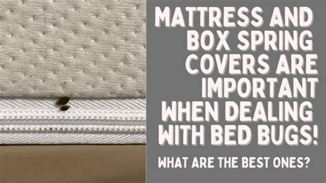 Best Mattress And Box Spring Covers For Bed Bugs 2022