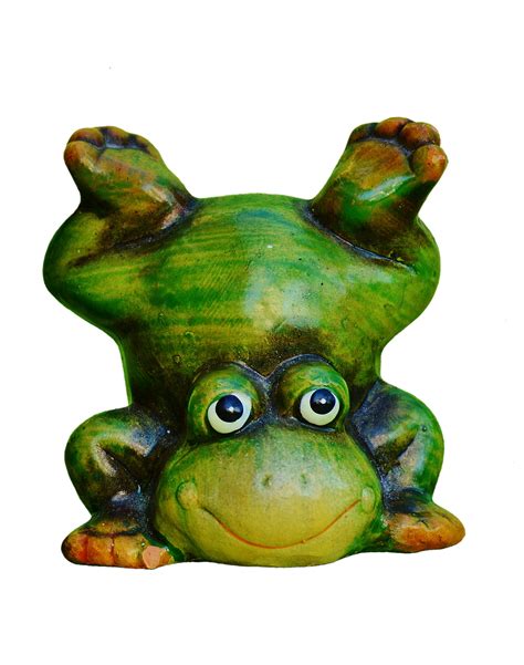 Frog Figure Funny Free Photo On Pixabay