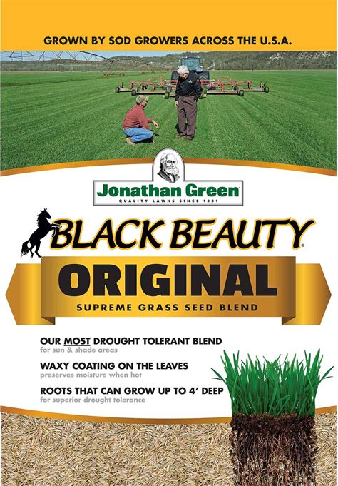 Black Beauty Original Grass Seed Jonathan Green Lawncarenut