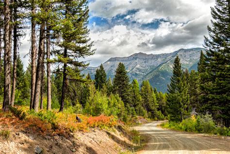 Amazing 99 Mile View From Clearwater Lake Wilderness Walks