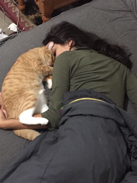 i found my girlfriend and my cat cuddling r aww cat cuddle kitten cuddle girls cuddling