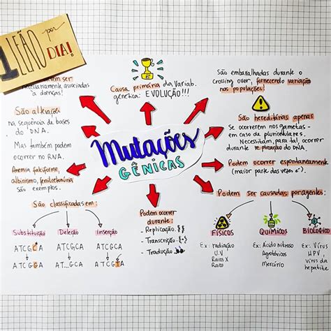 Mapa Mental Sobre Biomoléculas Gsmbrain