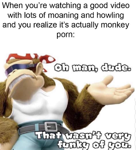 Funky Kong Does Not Approve Rdankmemes