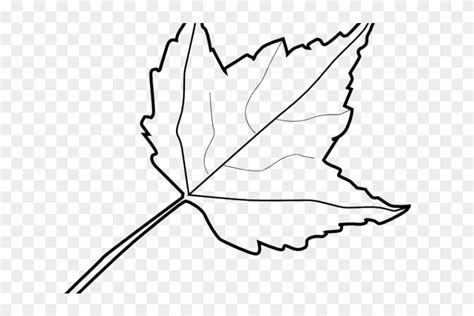 Maple Leaf Clipart 2 Leaves Leaves Black And White Free Transparent
