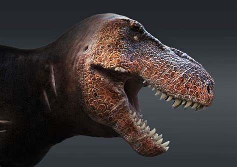 Top 10 Lies About The Tyrannosaurus Rex Science Amino