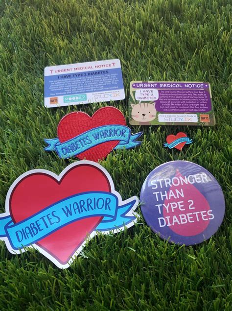 Type 2 Diabetes Warrior Kit Etsy