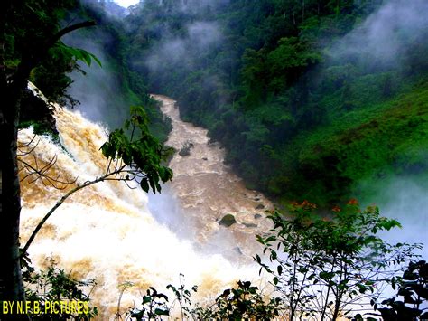 Ekom Nkam Waterfallsmoungo Cameroon Waterfalls Tourism Falling