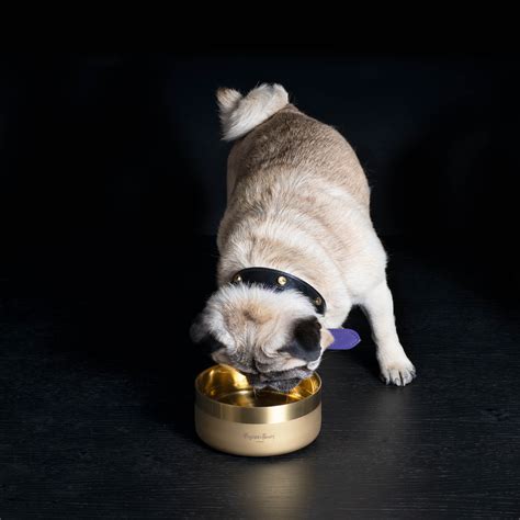 Dog Bowl Small Brass Buster Punch