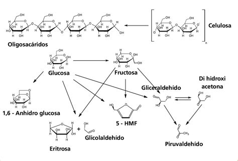 Esquema De La Hidrólisis De Celulosa Download Scientific Diagram