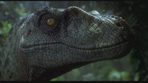 Jurassic Park Iii Velociraptor