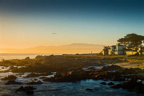 Best Monterey Stock Photos Pictures And Royalty Free Images Istock
