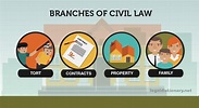 Civil Law - Definition, Examples, Cases, and Processes