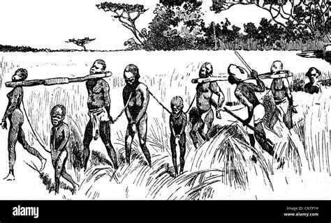 Sklaverei Transport Von Sklaven In Afrika 19 Jahrhundert Historisch
