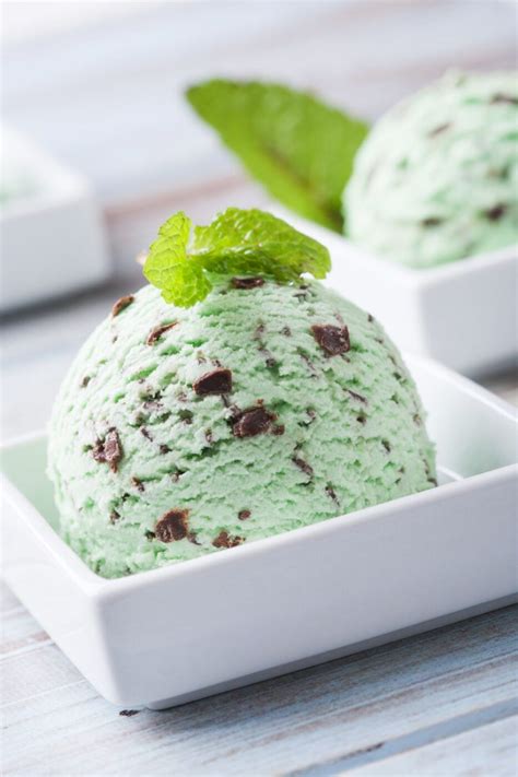 Homemade Mint Chocolate Chip Ice Cream