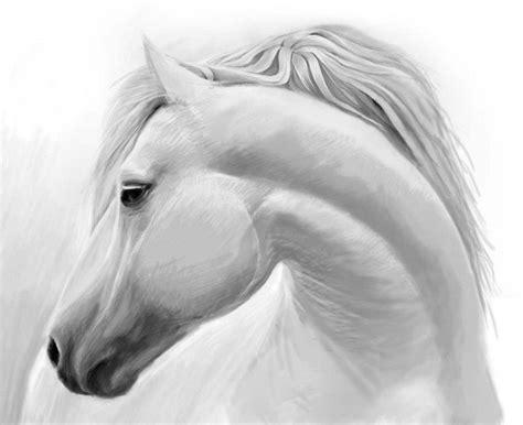 Il muso del gatto è molto facile da disegnare. Cavallo bianco, disegni facili da fare con matita, leggere ...