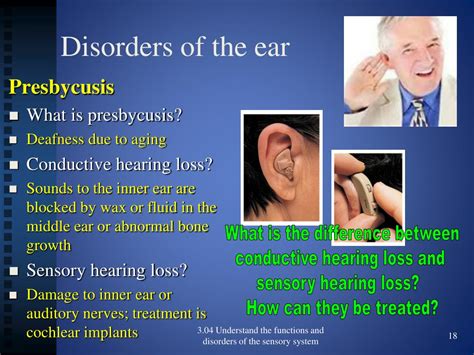 Ppt 304 Functions And Disorders Of The Ear Powerpoint Presentation