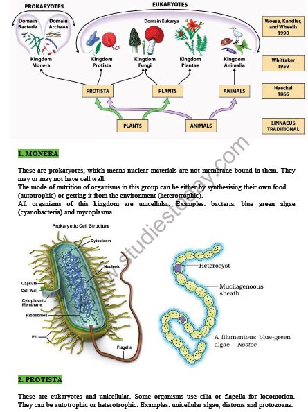 Cbse Class 9 Science Diversity In Living Organisms Notes