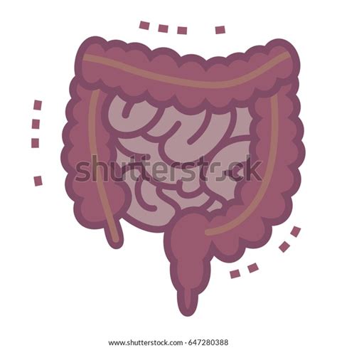 Illustration Diseased Large Intestine Small Intestine Stock Vector