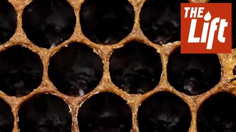 Trypophobia The Fear Of Holes Videos From The Weather Channel