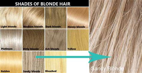 Whether you go for bold red, rich brown, or a glossy blonde, color can update any hairstyle and freshen up your look. Sandy Blonde Hair Color Dye, Chart, Pictures, Highlights ...
