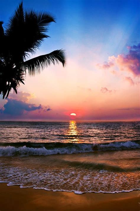 Sunset On The Tropical Island Amazing World Pinterest Utila