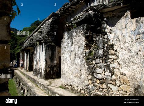 Palenque Pyramid Hi Res Stock Photography And Images Alamy