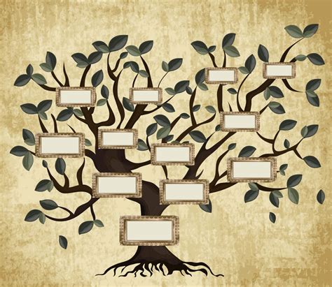 Árvore genealógica o que podemos aprender com ela