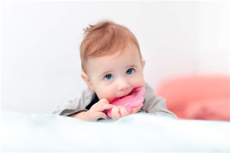 Cute Baby Biting On Calming Teething Toy Stock Photo Download Image