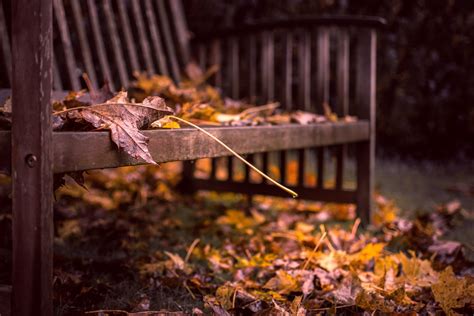 4588482 Leaves Bench Pavements Fall Rare Gallery Hd Wallpapers