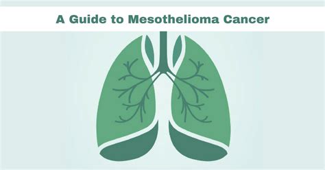 Mesothelioma Overview Symptoms Treatment And Prognosis