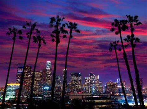 Night View Of Los Angeles Losangeles