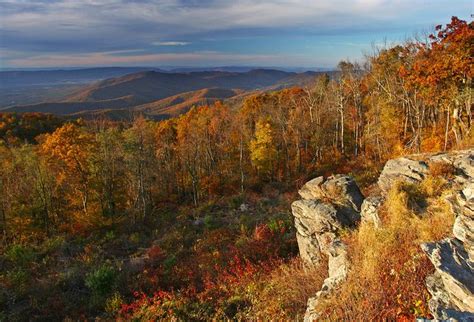Just Another Fabulous Fall Scene Of The Blue Ridge Mountains From
