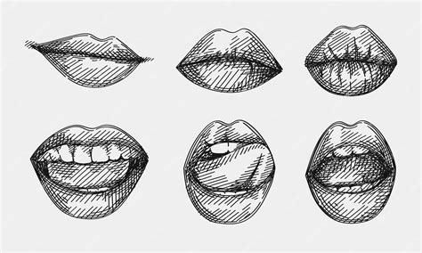 premium vector hand drawn sketch of lips set set of smiling lips lips licking a tongue