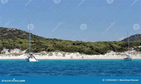 Saleccia Beach In Corsica Island Stock Image Image Of Europe Vacation 123554343