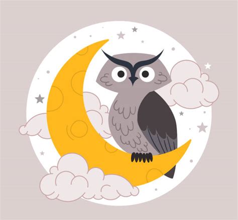 Nighttime Daytime Bird Pictures Illustrations Royalty Free Vector