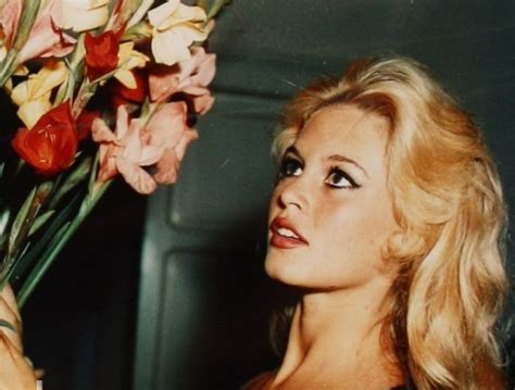 Brigitte Bardot Then And Now 16 Pics