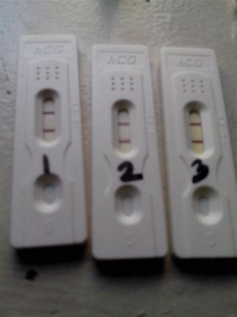 5 Positive Pregnancy Tests But Nothing On The Ultrasound — The Bump