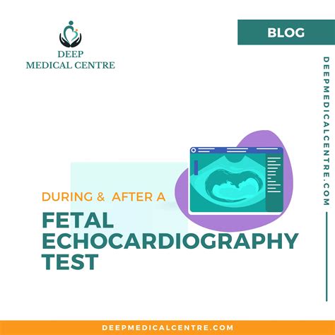 What Happens During And After A Fetal Echocardiography Test Deep