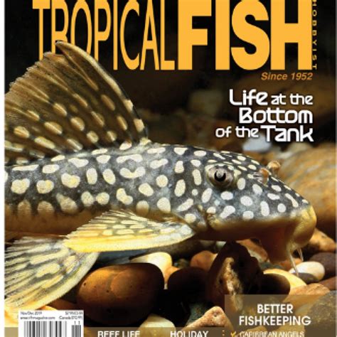 Tropical Fish Hobbyist Magazine Subscriber Services