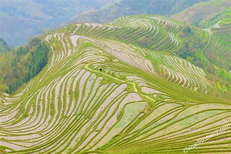 Top 6 Most Beautiful Rice Terraces In China Yuanyang And Longji