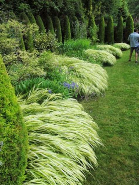 Cool 42 Amazing Evergreen Grasses Landscaping Ideas More At
