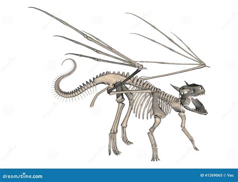Dragon Skeleton Stock De Ilustración Ilustración De Continuar 41269065