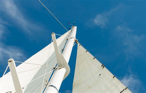 Lagoon Bay Cruise Barefoot Sailing Adventures