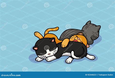 Three Cute Cats Are Sleeping Stock Vector Illustration Of Character