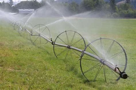 Sprinkler Irrigation System Types Advantages And Disadvantages