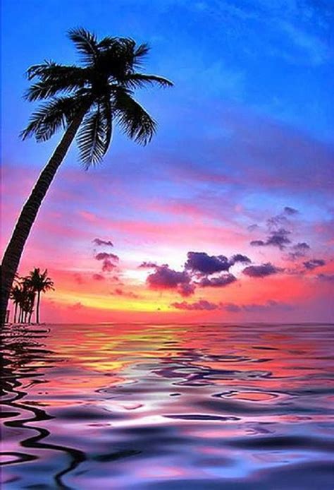 Best 25 Hawaiian Sunset Ideas On Pinterest Pictures Of