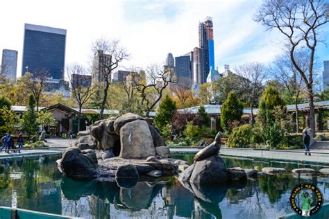 Home to sheep, goats, zebu, and more, this area offers plenty of. Visit the Central Park Zoo in New York