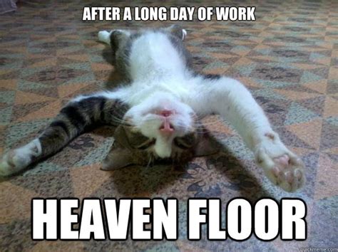 After A Long Day Of Work Heaven Floor Tired Cat Quickmeme