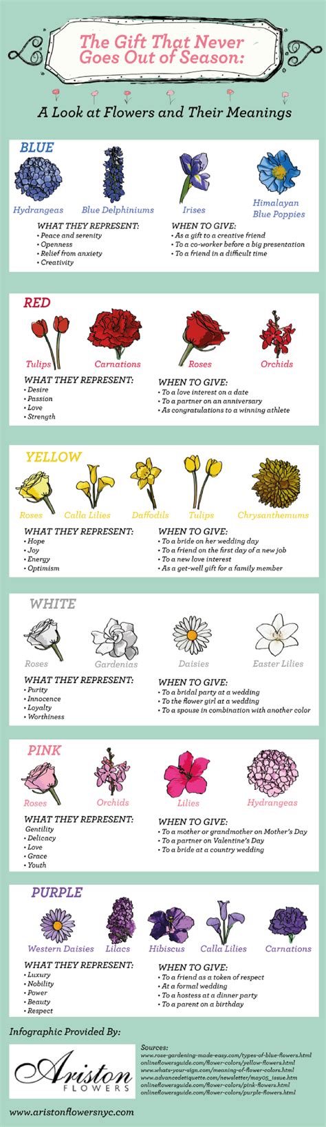 azirtips flowers and their meanings a z list of flower names with their meanings and alluring